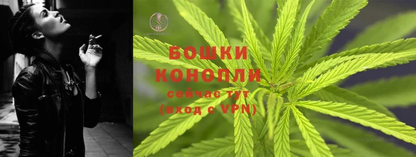 мдпв Нея