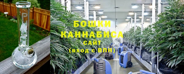 индика Нефтегорск