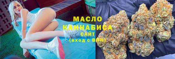индика Нефтегорск