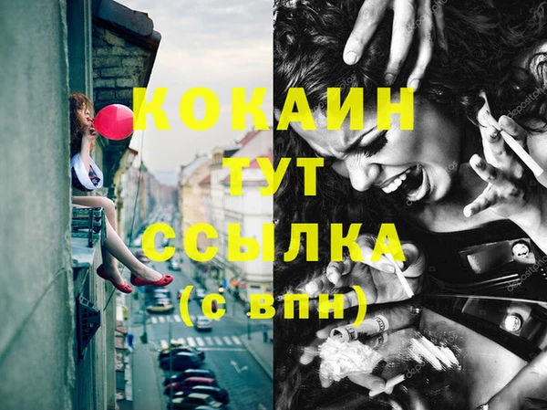 мдпв Новодвинск