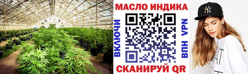 магазин продажи   Тарко-Сале  ТГК гашишное масло 