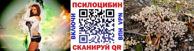 Галлюциногенные грибы GOLDEN TEACHER Тарко-Сале